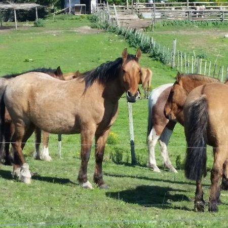 Scavino Estancia Turistica Don Joaquin المظهر الخارجي الصورة